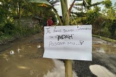 Kesal Jalan Antar Kecamatan Rusak Parah, Warga Kaluku-Subur Luwu Utara Tanam Pisang dan Beri Pesan