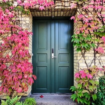 Ilustrasi pintu depan rumah berwarna hijau zamrud