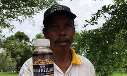 Tingkatkan Perekonomian Desa Kuala Tolak, ANJ Beri Pembinaan Tata Kelola Madu Kelulut