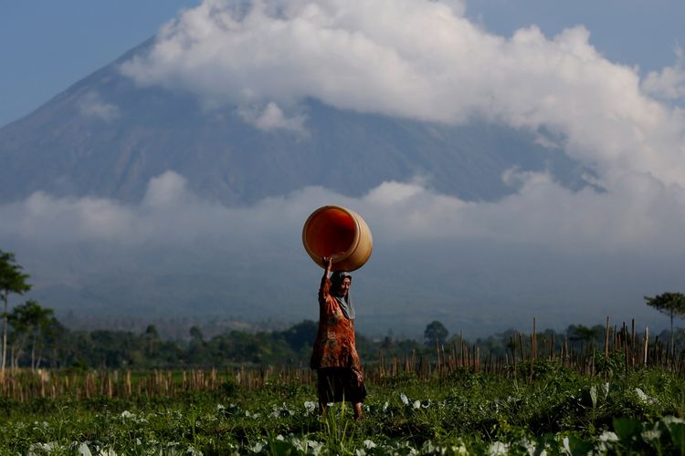 KEINDAHAN ALAM INDONESIA - Seorang petani melewati perkebunan dengan latar belakang Gunung Semeru dari desa Oro-oro Ombo, Lumajang, Minggu (8/5/2016).