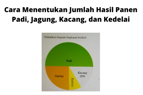 Cara Menentukan Jumlah Hasil Panen Padi, Jagung, Kacang, dan Kedelai