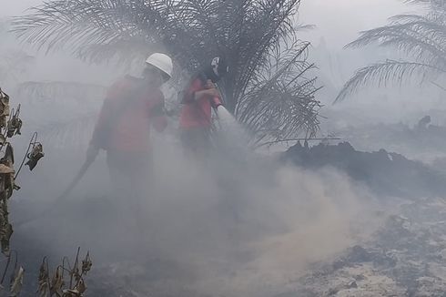 Status Siaga Darurat Kebakaran Hutan dan Lahan di Riau Berakhir