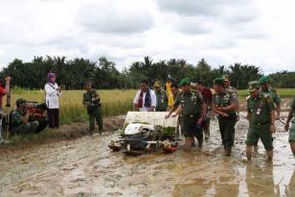 Menteri Pertanian (Mentan) Andi Amran Sulaiman mengatakan bahwa ada tambahan luas areal lahan pertanian padi seluas 700 ribu hektare (ha) dalam periode Oktober 2014 hingga Maret 2015.