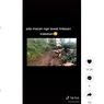 Video Pengendara Trail Bertemu Macan di Jalur Off Road