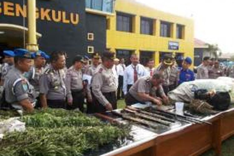 Kapolda Bengkulu, Brigjen Polisi, M.Ghufron menggelar barang bukti ganja dan beberapa senjata api rakitan yang berhasil diamankan dari sebuah ladang ganja di Kabupaten Rejang Lebong