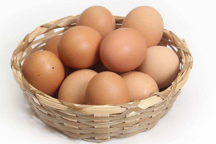 Ilustrasi: Harga Telur di Amerika Serikat naik lebih dua kali lipat