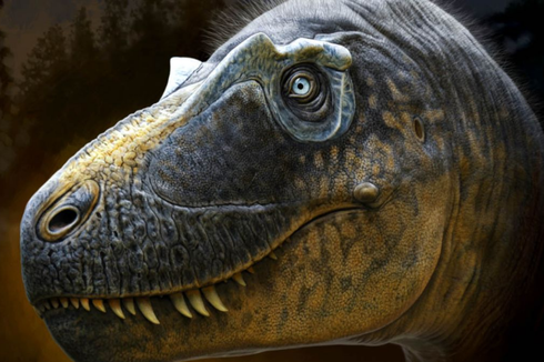 Diduga Nenek Moyang T-rex, Ahli Temukan Fosil Tyrannosaurus Baru