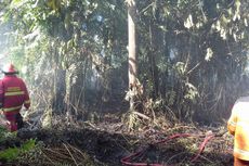 41 Hektar Lahan Terbakar di Riau Dalam 4 Hari Terakhir
