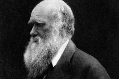 Ilmuwan Islam Temukan Teori Evolusi 1.000 Tahun Sebelum Charles Darwin