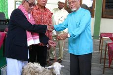 Muslim Singapura Sumbang 210 Domba untuk Kendal