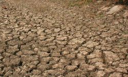 Kekeringan di Samosir Capai 2.007 Hektar, Kementan Turun Tangan