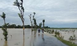 Rawan Banjir, Kementan Minta Petani Asuransikan Sawahnya