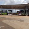 Dampak Virus Corona, 80 Bus Pariwisata di Tanjungpinang Tak Beroperasi