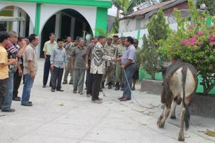 Bupati TTU Raymundus Sau Fernandes (Kanan) menyerahkan sapi kurban pada Imam Masjid Agung Nurul Fallah, Kefamenanu, Kabupaten Timor Tengah Utara,  Senin (14/10/2013)