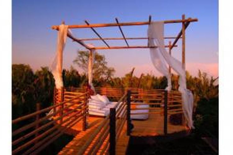 Bangkok Tree House merupakan salah satu hotel di Thailand yang menerapkan teknologi ramah lingkungan. Salah satunya ada di kamar yang disebut 