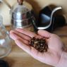 Cascara, Kulit Biji Kopi Kering yang Bisa Diseduh Menjadi Teh