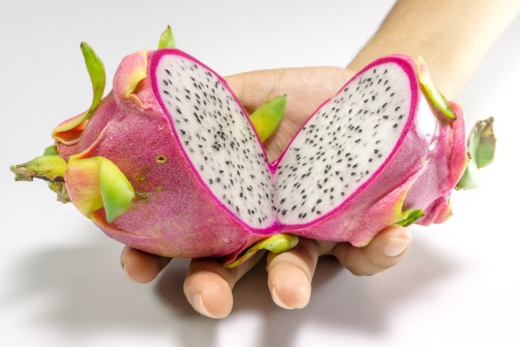 Ilustrasi buah naga putih. 