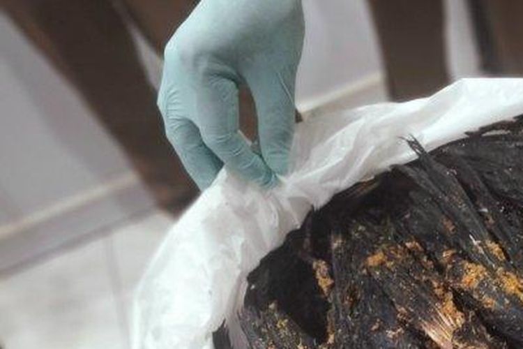 Barang bukti gagak hitam mati akibat perdagangan ilegal di Surabaya 
