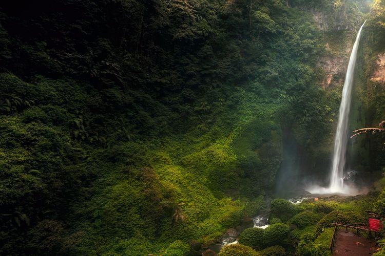 Cara Menuju Air Terjun Kabut Pelangi, Surga Tersembunyi di Jawa Timur