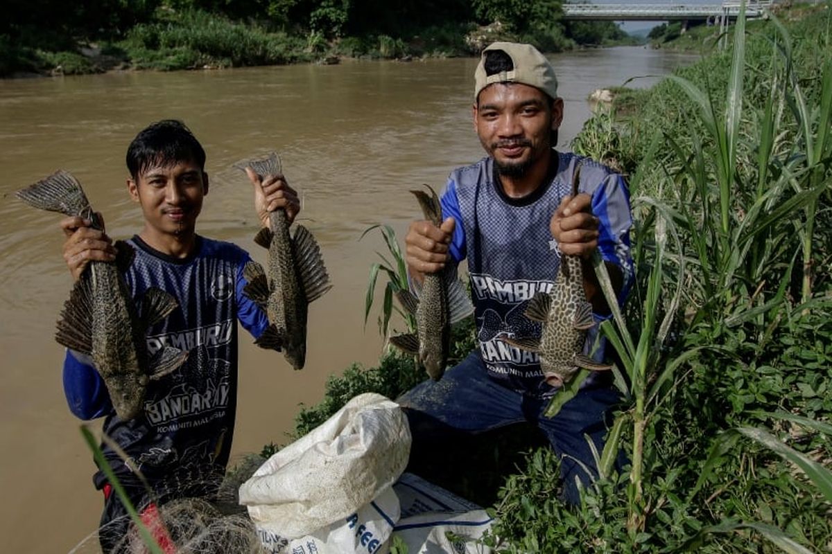Warga saat ikut program Pemerintah Selangor yang meluncurkan program penangkapan 50 ton ikan sapu-sapu, yang dikenal di kalangan penduduk setempat sebagai ikan bandaraya di Sungai Langat September 2024. 