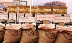 Indonesia Coffee Festival 2023, Pameran Industri Kopi Terbesar Dalam Negeri