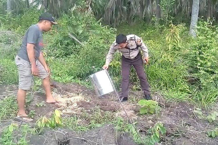 Polisi dari Polsek Gunung Megang Muara Enim memeriksa lokasi kebun sawit di Desa Kayuara 1 yang bibitnya yang sudah ditanam dicuri orang tak bertanggung jawab. Pemilik kebun mnderita kerugian cukup besar atas kejadian itu.