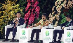 RGE Komitmen Dukung Transisi Energi Hijau, Targetkan 90 Persen Energi Bersih pada 2030