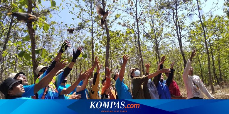 Lepas Burung dan Ikan di Hutan, Ini Cara Komunitas Pecinta Sejarah Nganjuk Rayakan HUT Kemerdekaan RI - Vimarsana News
