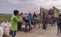 Lampaui 136 Persen dari Target, Bulog Karawang Terus Serap Gabah Petani