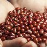 3 Cara Olah Kacang Merah untuk MPASI, Makanan Bergizi Tinggi