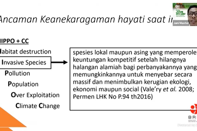 
Pakar biologi dari Universitas Lampung (Unila) Dr Jani Master memberikan materi dalam diskusi daring yang digelar Pusat Riset Ekologi dan Etnobiologi, Badan Riset dan Inovasi Nasional (BRIN), Senin (3/6/2024).  