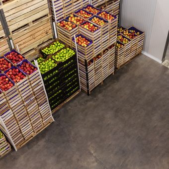 Ilustrasi cold storage untuk menyimpan buah segar. 