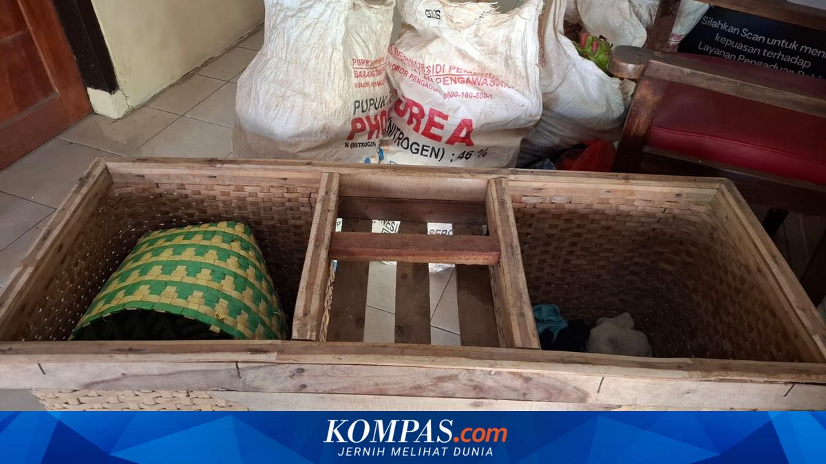 Ketahuan Curi Buah Naga, Pria di Banyuwangi Diarak Keliling Desa