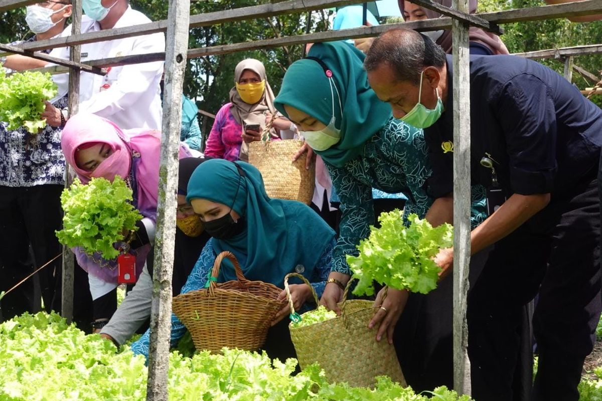 BKP Kementan mengunjungi pelaksanaan program P2L di Kelurahan Landasan Ulin Utara, Kecamatan Liang Anggang, Banjarbaru, Kalimantan Selatan, Rabu, (31/3/2021).