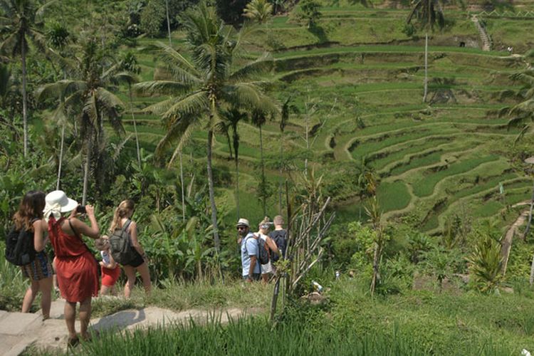 Wisatawan menikmati pemandangan pedesaan sawah berundak (terasering) di Desa Tegallalang, Gianyar, Bali, Senin (1/10/2018).  
