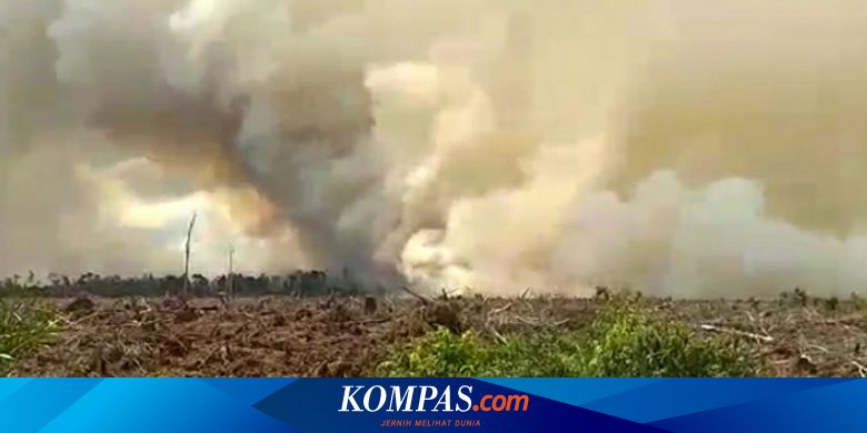 Antisipasi Karhutla, BMKG Sudah Petakan Area Rawan