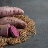 Kandungan Nutrisi dan Manfaat Ubi Ungu untuk Kesehatan