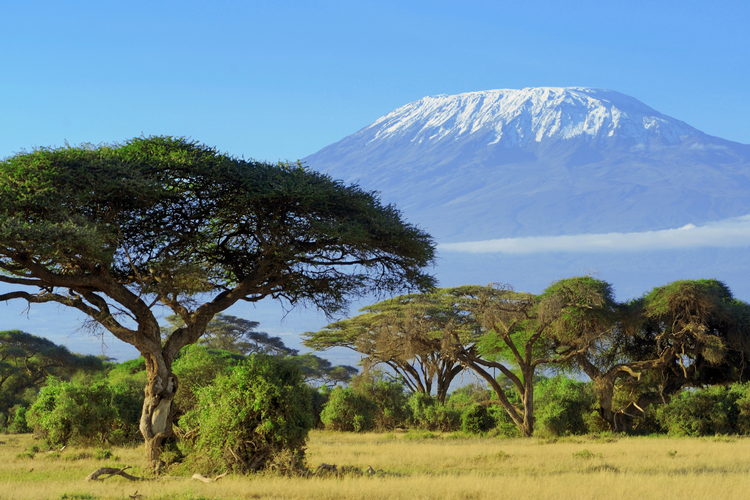 Gunung Kilimanjaro di negara mana? Gunung Kilimanjaro terletak di negara Tanzania.