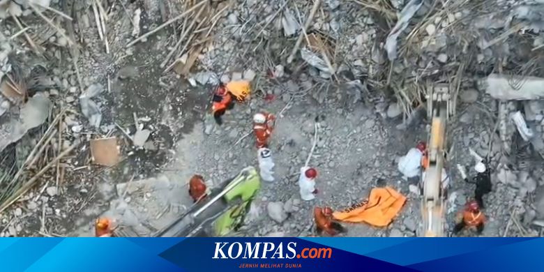 Xarakterli kashta naqshli mushuk