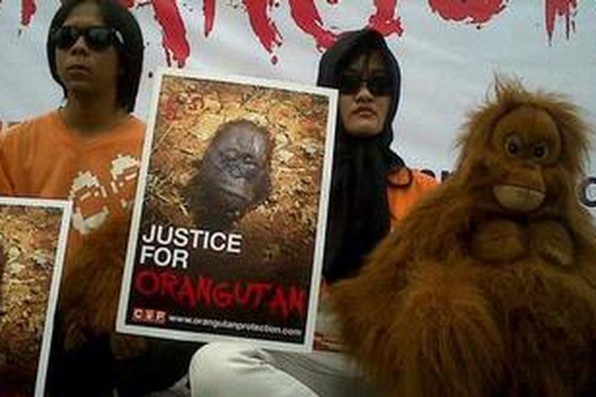 Aktivis Centre for Orangutan Protection (CPO) berunjuk rasa di Bundaran Hotel Indonesia menuntut perlakuan yang adil bagi orangutan, Rabu (12/10/2011).