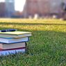 6 Tips Memilih Perguruan Tinggi, Cek Rasio Mahasiswa dan Staf