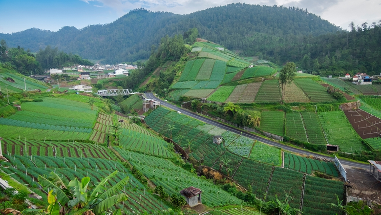 Tawangmangu tengah difokuskan menjadi destinasi wisata kesehatan di Indonesia. 