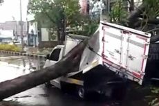 Hujan Deras Disertai Angin Kencang, 3 Mobil di Sidoarjo Ringsek Tertimpa Pohon Tumbang