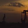 BUMD Riau Diharap Jadi Mitra Pertamina Kelola Blok Rokan