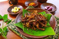 Belalang Goreng Sambal Kemangi, Kuliner Mojokerto yang Punya Banyak Penggemar 