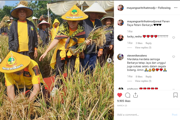 Momen Mayangsari dan suami, Bambang Trihatmodjo saat panen raya bersama Partai Berkarya. 