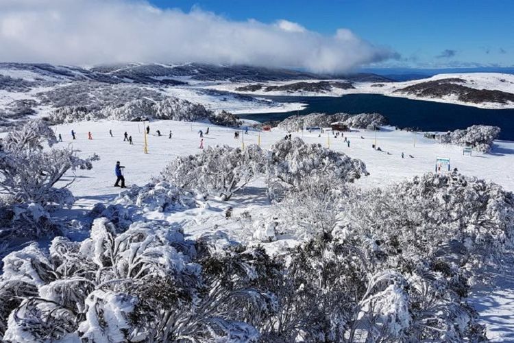 (Falls Creek, Victoria - Tourism Australia)