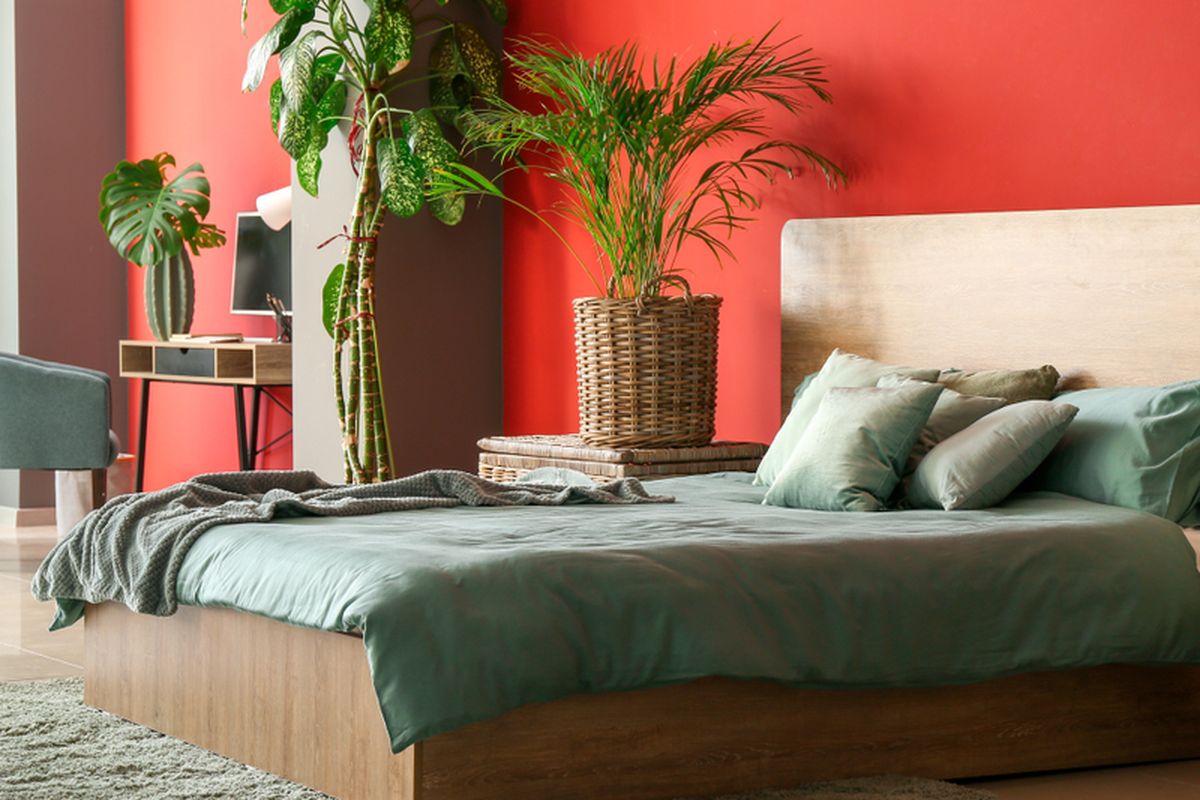 Ilustrasi kamar tidur dengan nuansa warna merah. 