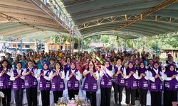 Ketum TP Posyandu Apresiasi Langkah Belu Mulai Registrasi Posyandu 6 SPM