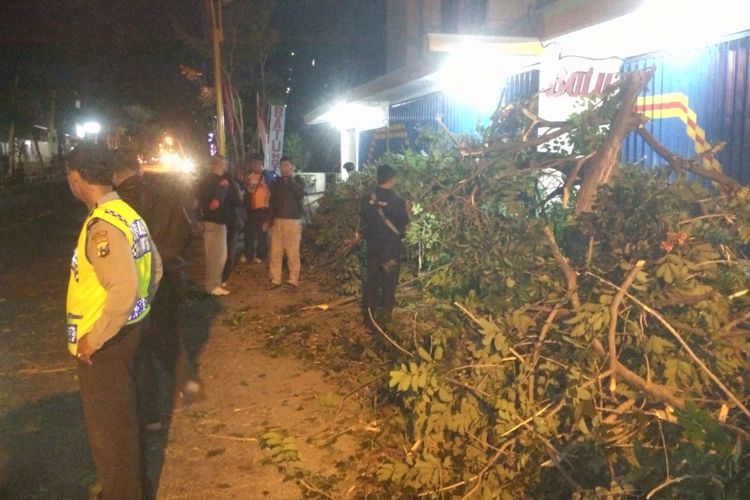 Pohon ambruk seusai tersangkut truk yang lewat di Jl.Letjend S Parman Kota Kediri, Jawa Timur, Kamis (31/8/2017). Ambruknya pohon bersamaan dengan lewatnya rombongan pawai takbir keliling.